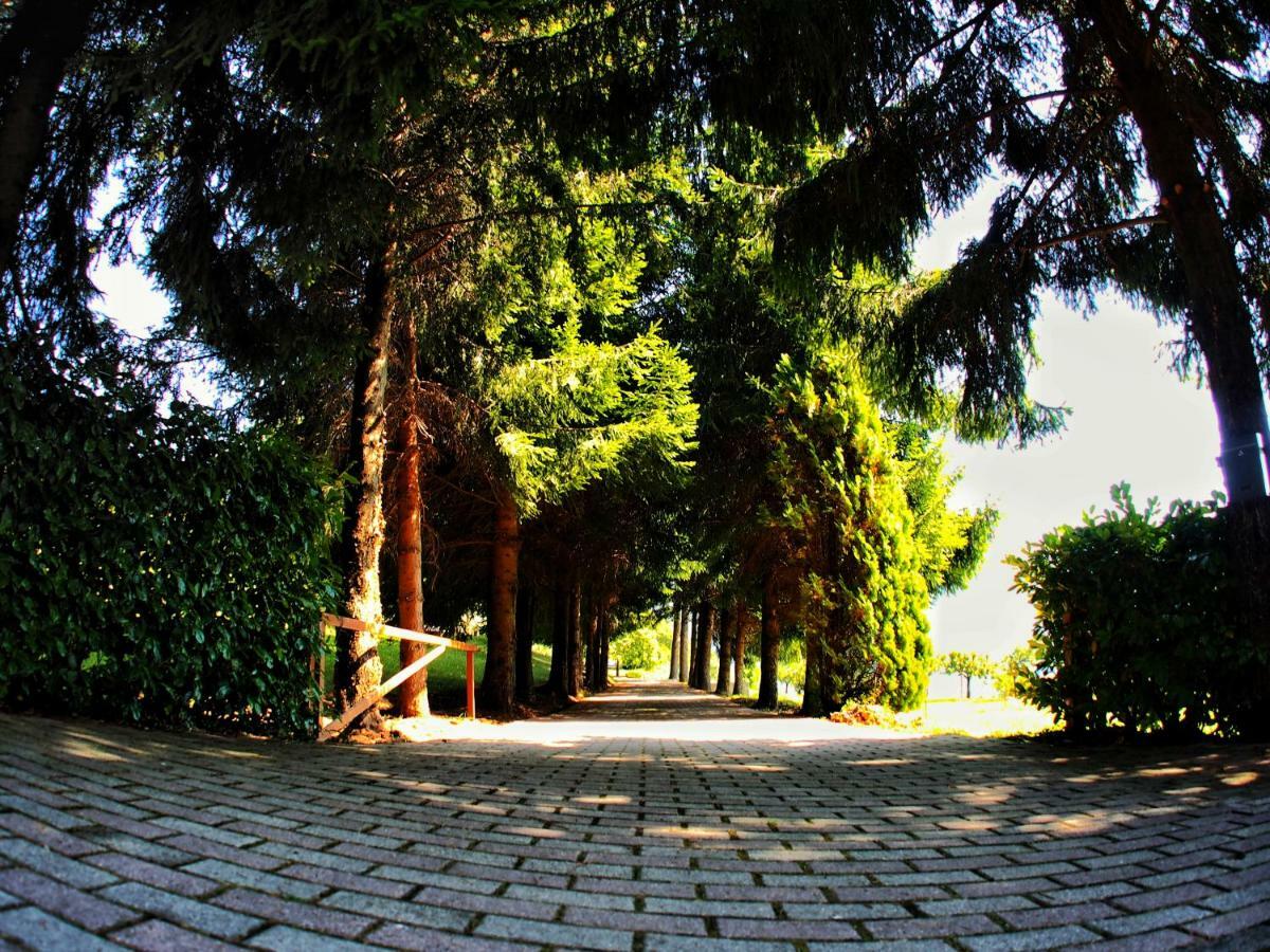 Casa Vacanza Pratolungo Villa Zogno Екстериор снимка